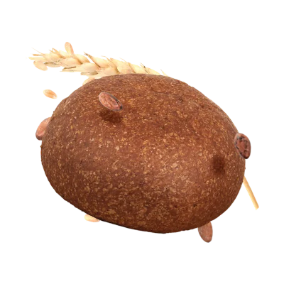 Protobun Stage 2 Cacao 50 g in vendita su dietaesport.com
